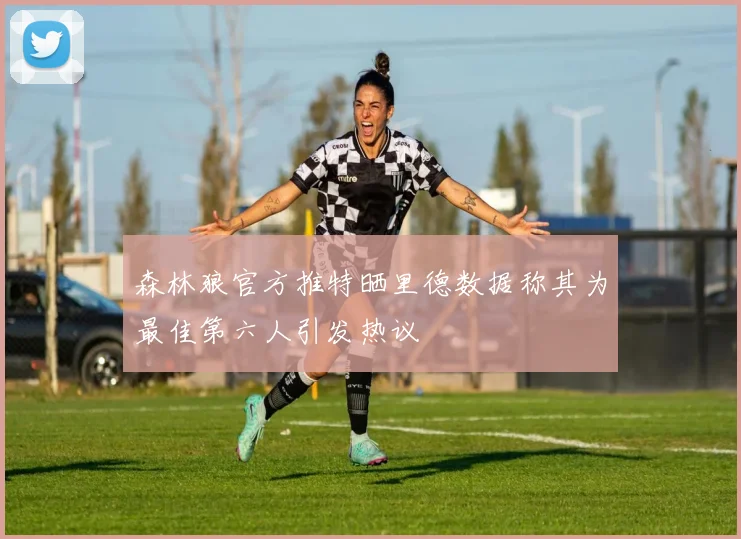 森林狼官方推特晒里德数据称其为最佳第六人引发热议