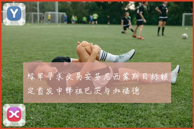 绿军寻求交易安芬尼西蒙斯目标锁定首发中锋祖巴茨与加福德
