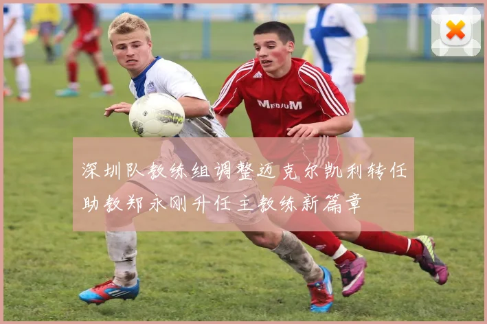 深圳队教练组调整迈克尔凯利转任助教郑永刚升任主教练新篇章
