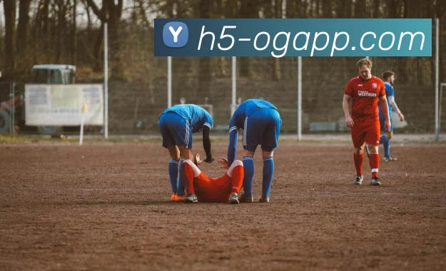 OG真人平台生态图