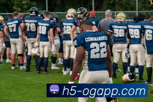 OG真人APP 封面图